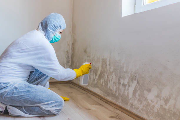 Hvac And Air Duct Mold Remediation inspection of HVAC system in Flanders